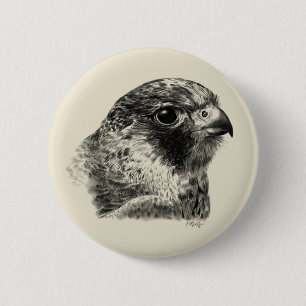 Lanner Falcon Drawing 6 Cm Round Badge