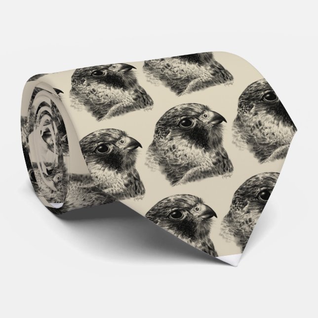 Lanner Falcon Drawing Tie (Rolled)