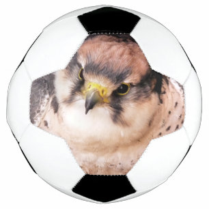 LANNER FALCON FOOTBALL