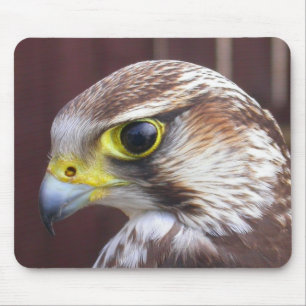 Lanner Falcon Mouse Mat