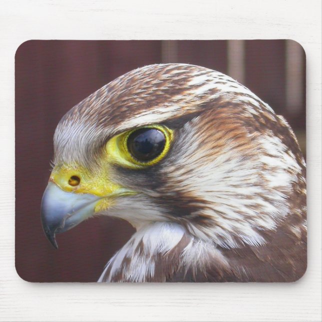 Lanner Falcon Mouse Mat (Front)