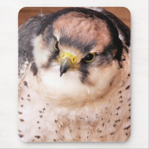 LANNER FALCON MOUSE MAT