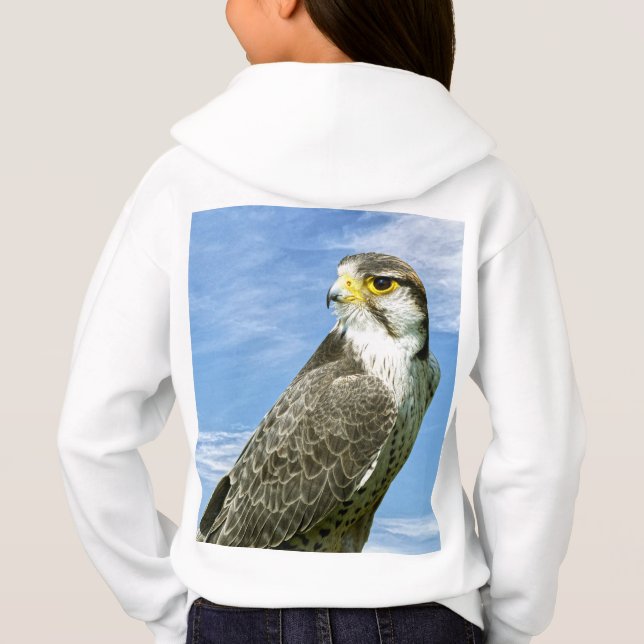 Lanner Falcon perched (Back)