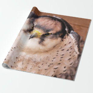 LANNER FALCON WRAPPING PAPER