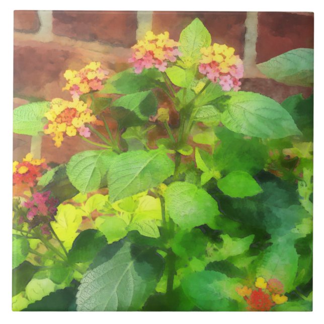 Lantana Against Brick Wall Tile (Front)