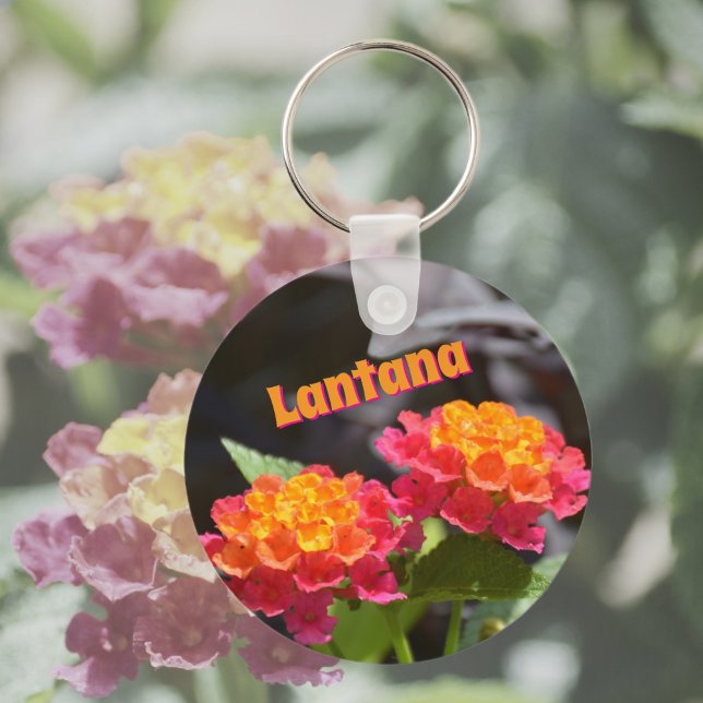 Lantana Bright Colorful Botanical Flowers Key Ring (Creator Uploaded)