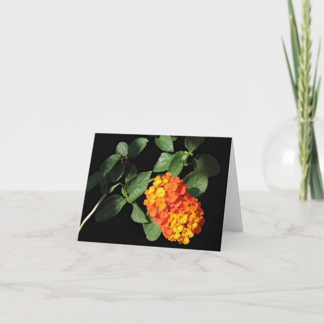 Lantana Note Card (Front)