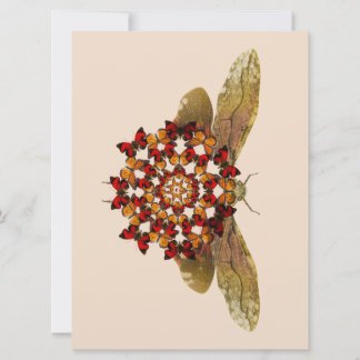 Lantern Fly and Butterfly Mandala Announcement