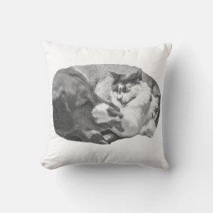 Lantern-Lit Watchers Cushion