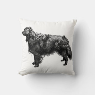 Lantern Porch Companion Cushion