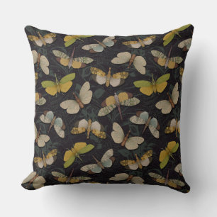 Lanternflies - Pyrops Candelaria & Planthoppers Cushion