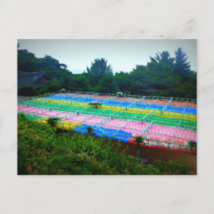 Lanterns at Seokguram Grotto, South Korea Postcard