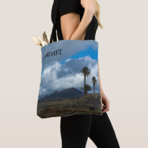 Lanzarote landscape