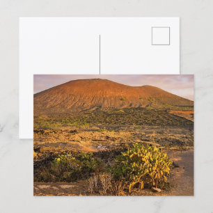 Lanzarote Volcanic Vineyard and Caldera at Sunset Postcard
