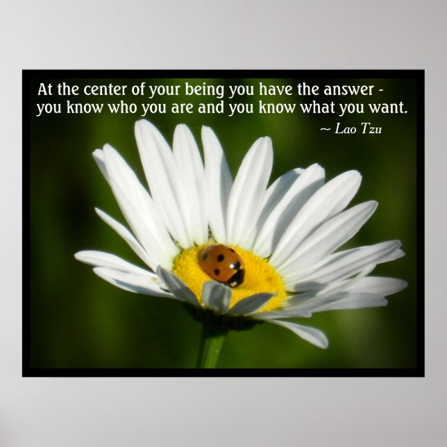 Lao Tzu Quote Inspiration Motivation Ladybug Daisy Poster (Front)