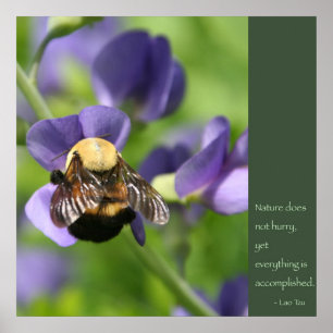 Lao Tzu Quote Poster