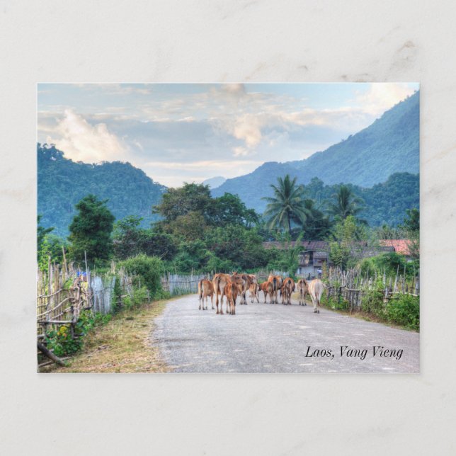 Laos, Vang Vieng Postcard (Front)