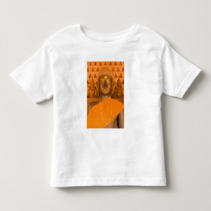 Laos, Vientiane, one of 6840 Buddha images in Toddler T-Shirt