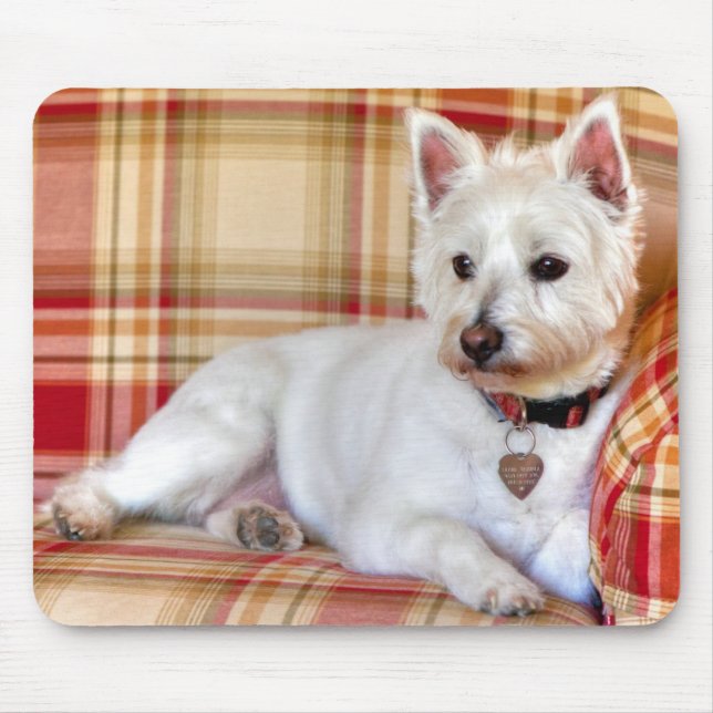 Lap Of Luxury Mouse Mat (Front)