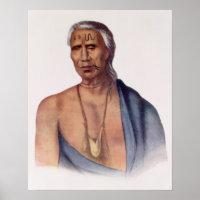 Lap-Pa-Win-Soe, a Delaware Chief