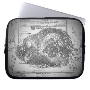 Lap (top) Cat Sleeping on Computer Laptop Sleeve