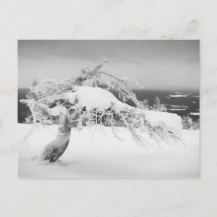 Lapland landscape postcard