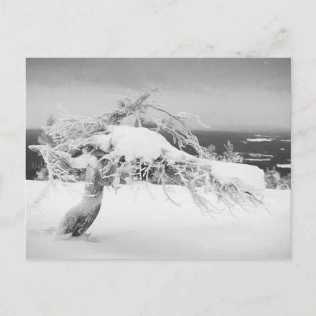 Lapland landscape postcard (Front)