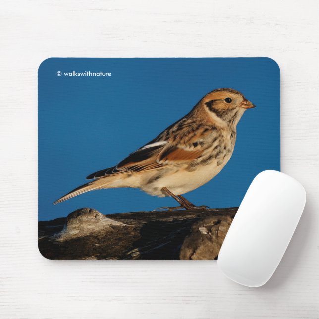 Lapland Longspur Bunting Songbird on a Sunlit Log Mouse Mat (With Mouse)