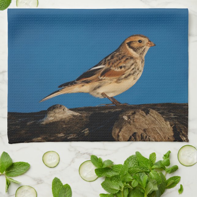 Lapland Longspur on a Sunlit Log Tea Towel (Folded)