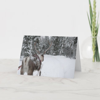 Lapland reindeer Christmas Card holidays card