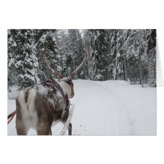 Lapland Reindeer Christmas Card Photo Card