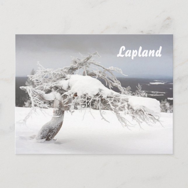 Lapland souvenir postcard (Front)