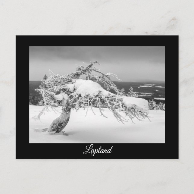 Lapland winter souvenir postcard (Front)