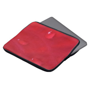 laptop cover photo author