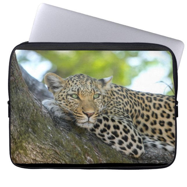 Laptop Sleeve (Front)