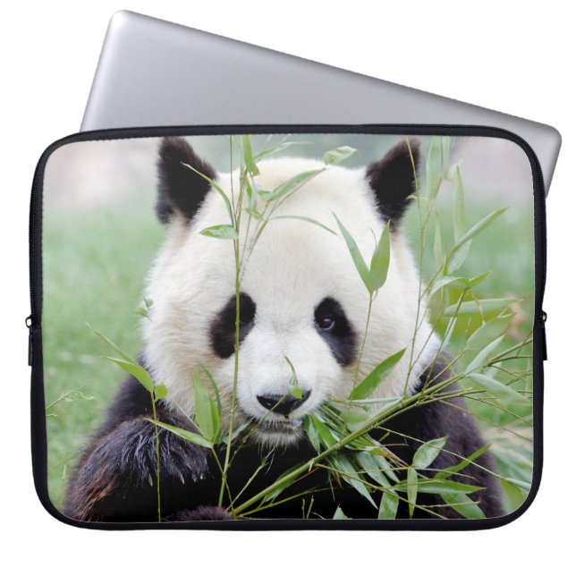 laptop sleeve Photo giant panda , animals. (Front)