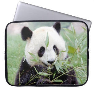 laptop sleeve Photo giant panda , animals.