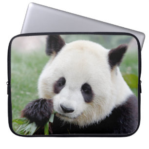 laptop sleeve Photo giant panda , animals.
