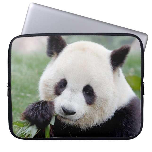laptop sleeve Photo giant panda , animals. (Front)