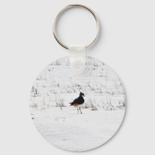 Lapwing Animal Key Ring
