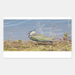Lapwing female rectangular sticker