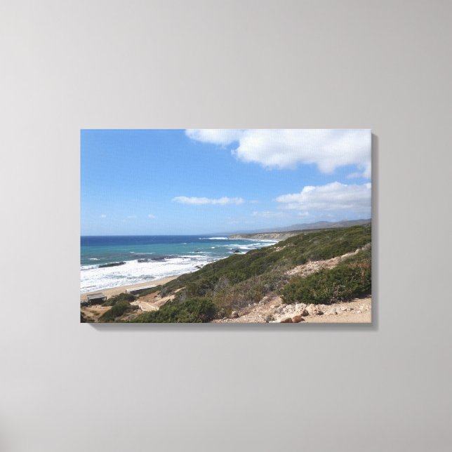 Lara beach, Paphos, Cyprus Canvas Print (Front)