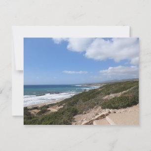 Lara beach, Paphos, Cyprus Postcard