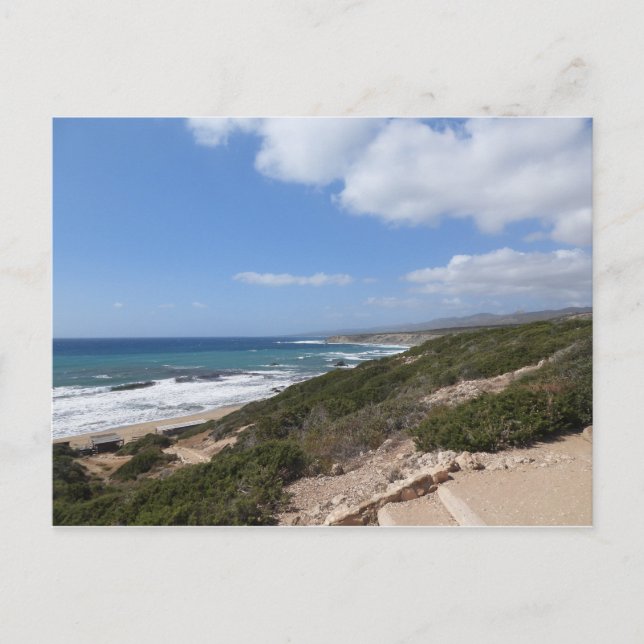 Lara beach, Paphos, Cyprus Postcard (Front)