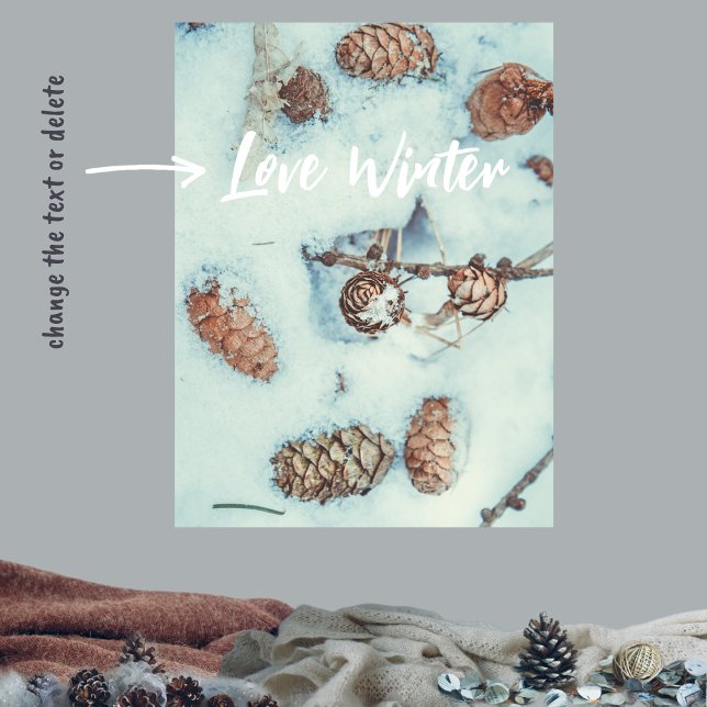Larch cones on the fresh blue snow poster (Creator Uploaded)
