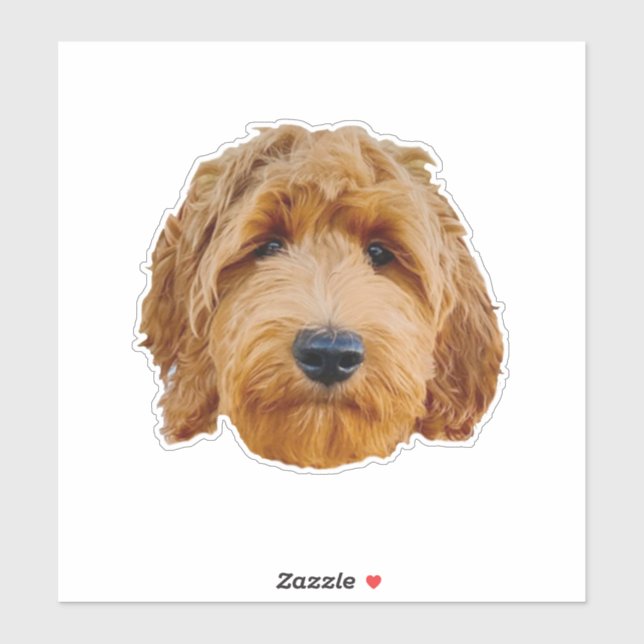 Large 20.3 x 20.3 cm Custom-Cut Vinyl Stickers (Sheet)