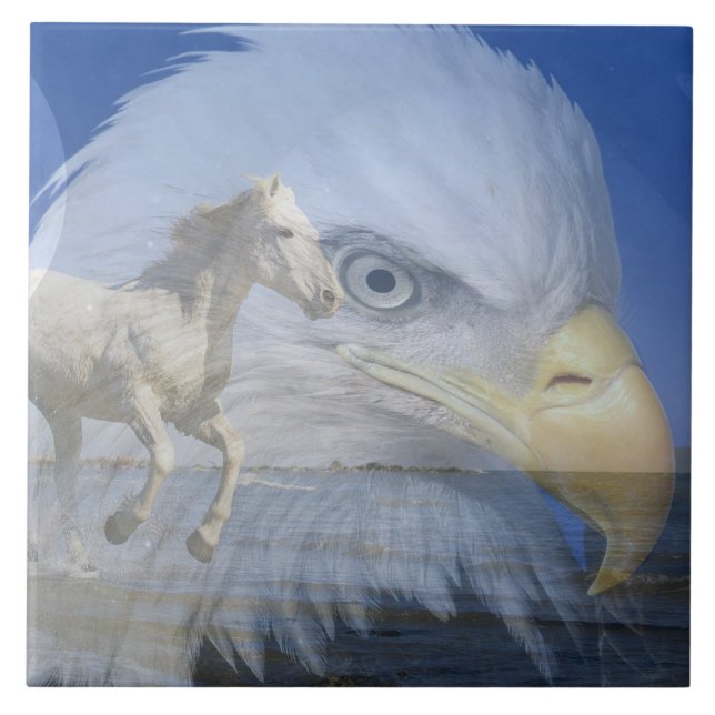 Large (6" X 6") Ceramic Photo Tile (Front)