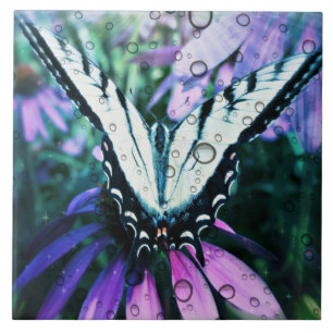 Large (6" X 6") Ceramic Photo Tile/Butterfly Tile