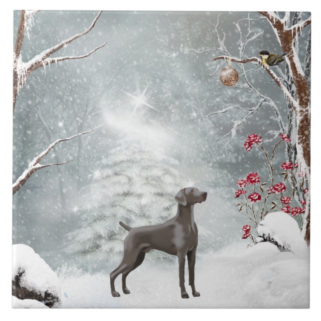 Large (6" X 6") Ceramic Weimaraner Tile (Front)