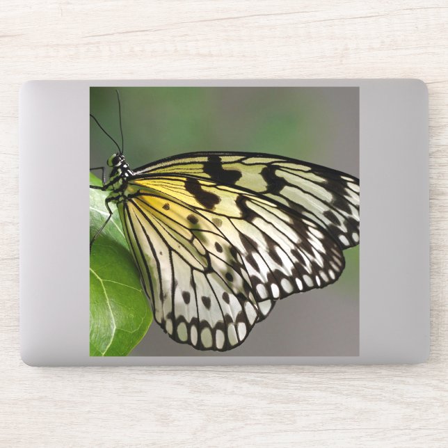 Large 8" x 8" Custom-Cut Vinyl Stickers (Computer)